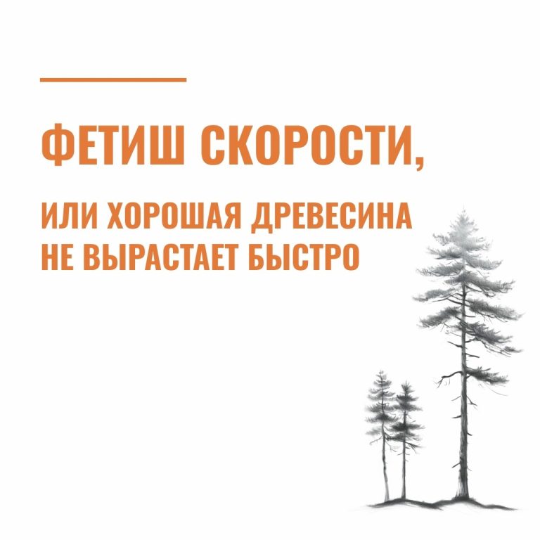 Фетиш скорости, или хорошая древесина не вырастает быстро