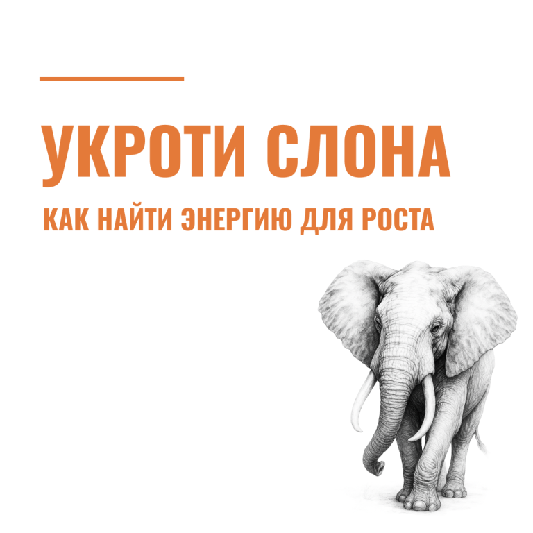 Укроти слона: как найти энергию для роста