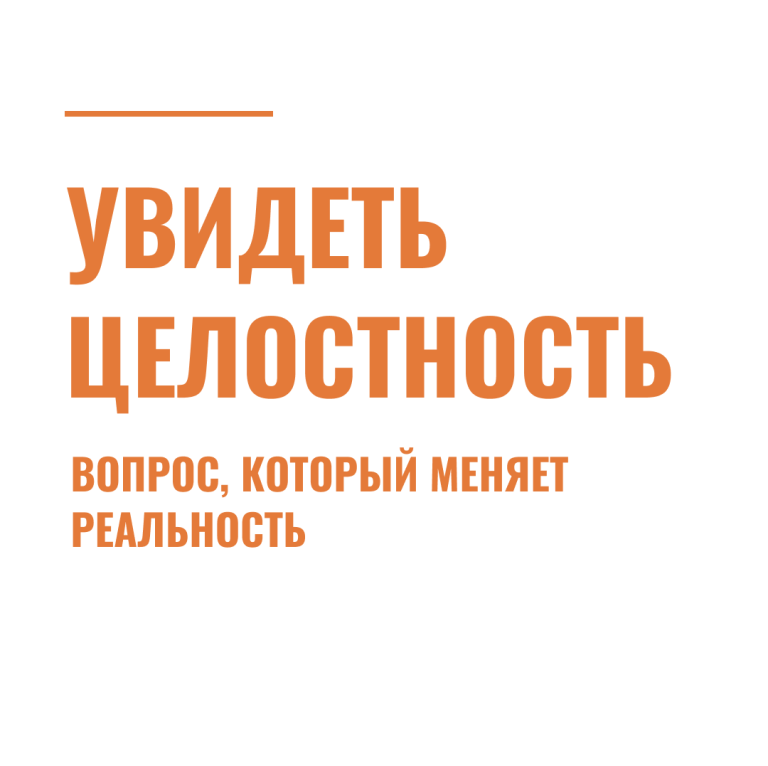 Увидеть целостность: вопрос, который меняет реальность